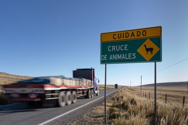 Cuidado: Cruce de vicuñas.