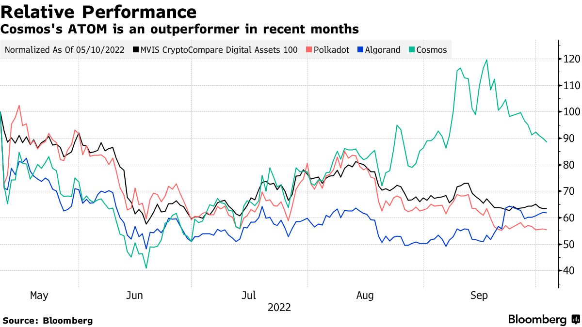 Crypto Hedge Fund Buys Algorand (ALGO), Polkadot (DOT), Cosmos (ATOM) -  Bloomberg