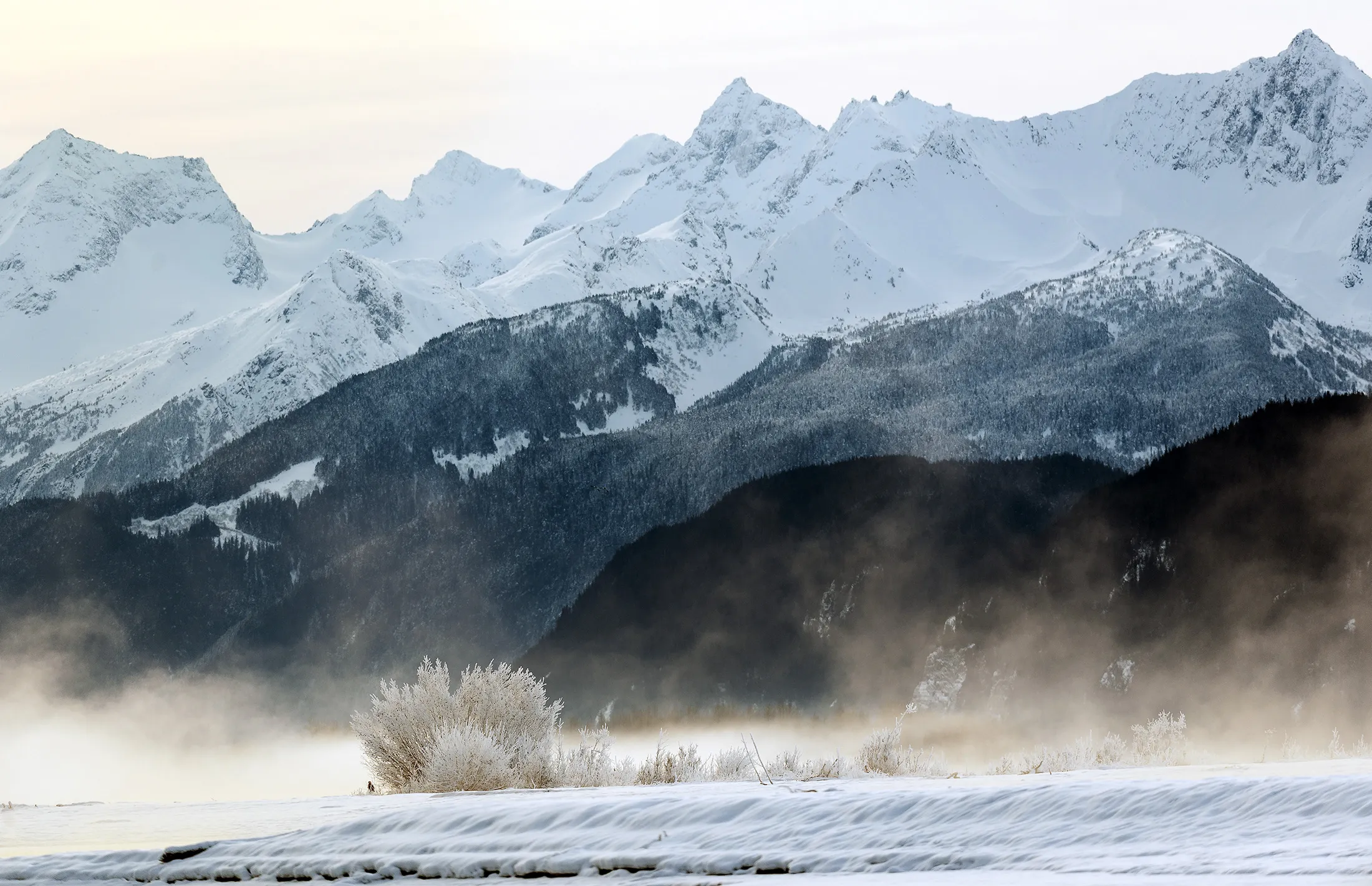1484909297_ALASKA