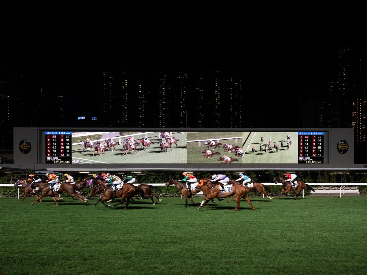 The Gambler Who Cracked The Horse Racing Code Bloomberg