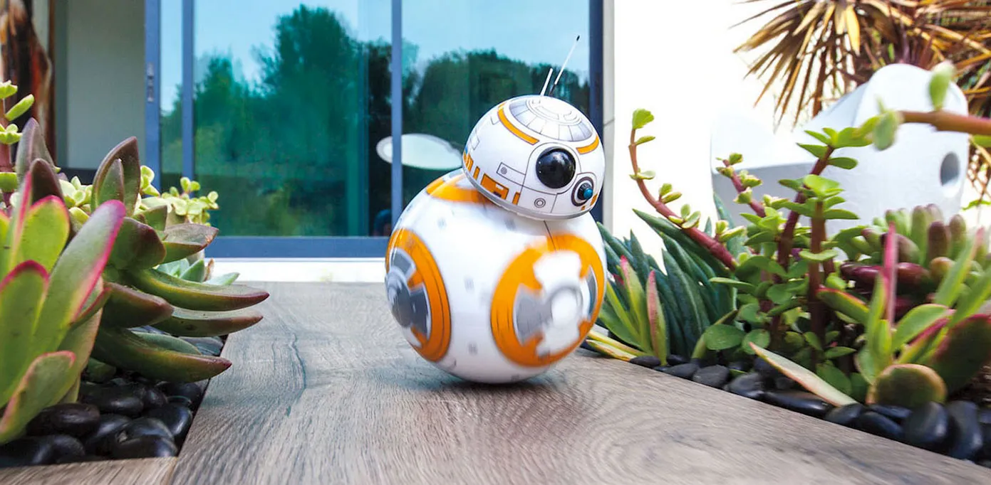 BB-8
