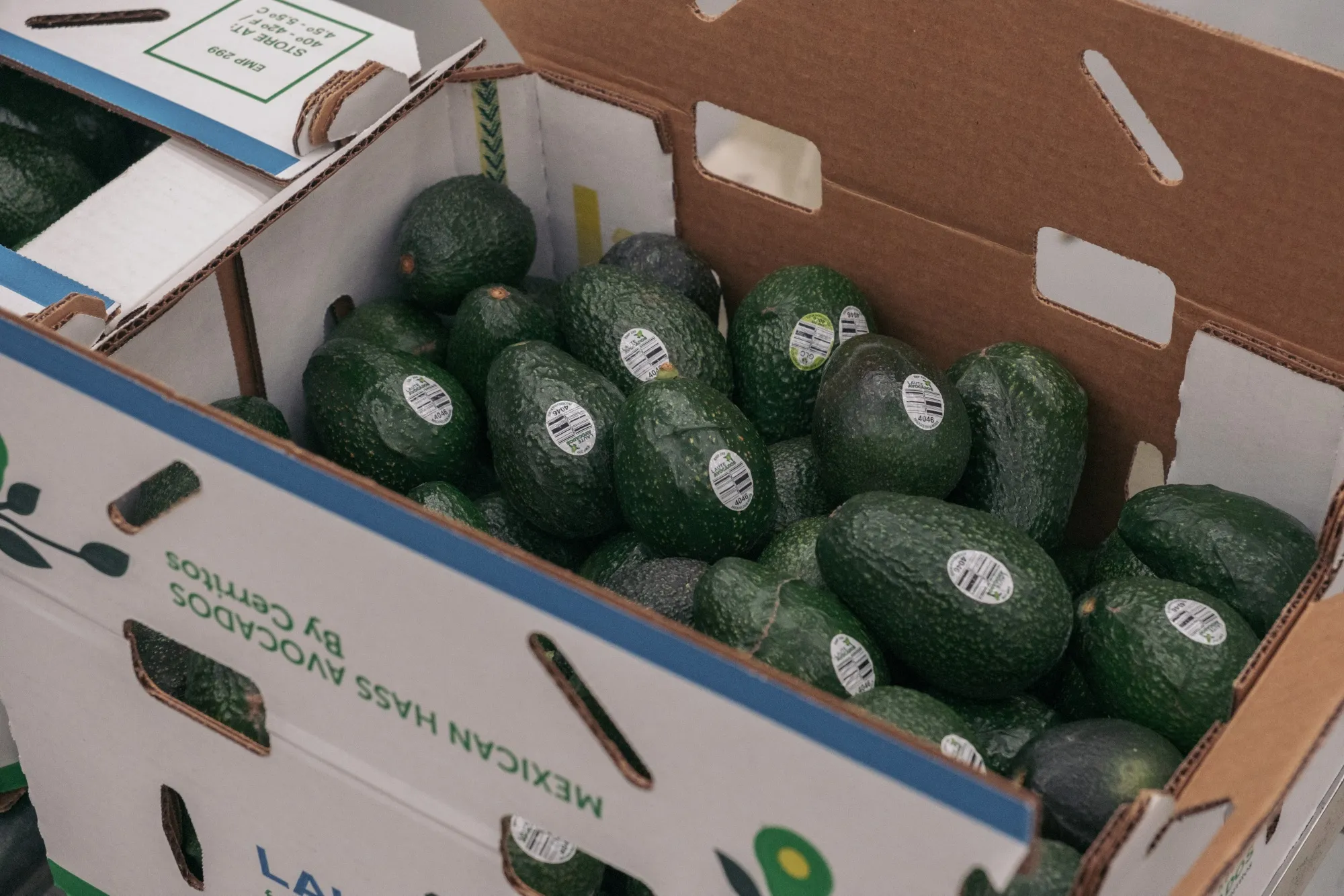 Mexico&nbsp;is a particularly big source of&nbsp;avocados, supplying more than 90% of what Americans eat.&nbsp;