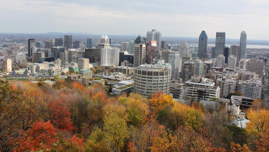 Montreal’s vacancy rate fellow almost a full percentage point in 2018 to 1.9 percent, well below what’s generally considered a healthy rate for a city’s rental market of 3 percent.