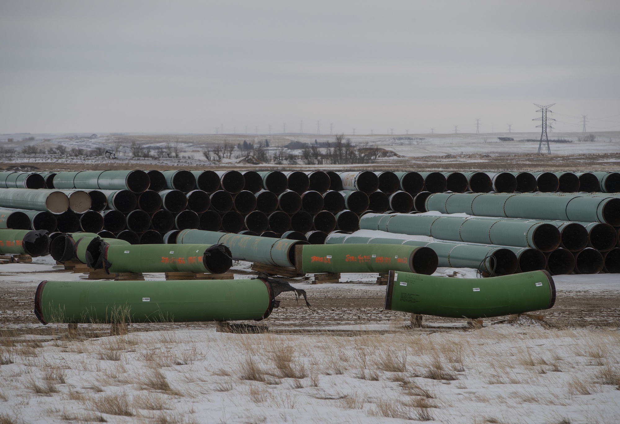 Pipes for the Keystone XL pipeline stacked in a yard near Oyen, Alberta, Canada, on&nbsp;Jan. 26.&nbsp;