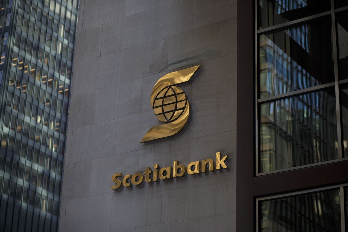 scotiabank net worth