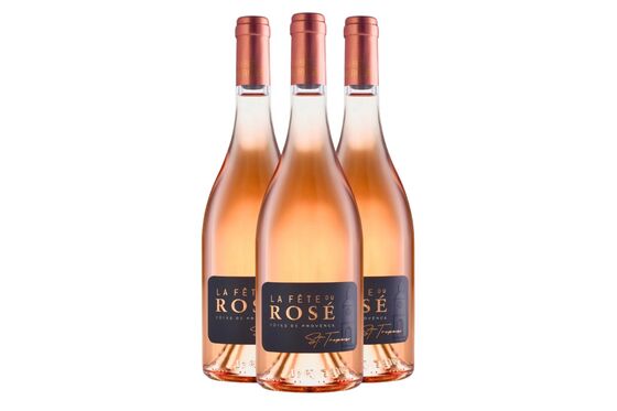 The Top Rosés for Summer Come With Bubbles, in Cans, and Even Boxed
