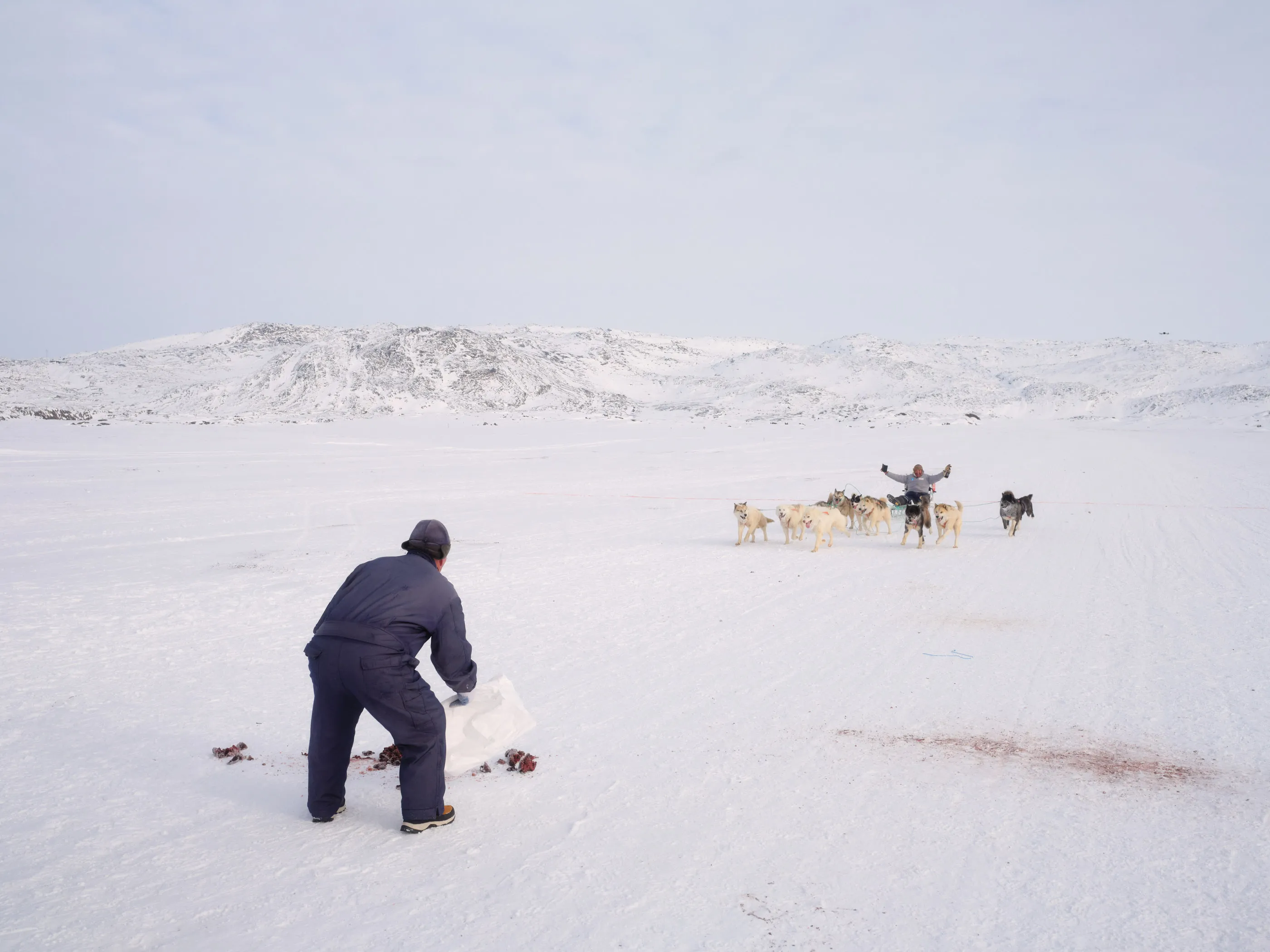 Avannaata Qimussersua, or “The Great Race of the North,” has rarely garnered attention outside Greenland.