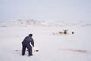 0328_WEEKEND_GREENLAND_dog sledding