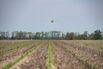Fertilizer Prices Still Soaring As US And Iran Agree To Ceasefire