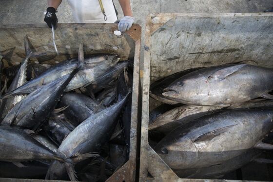 Ex-Bumble Bee CEO Is Latest Catch in Tuna Price-Fixing Hunt