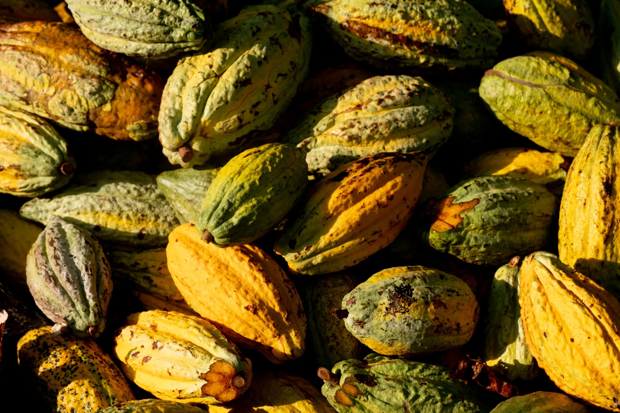 These Asian Chocolatiers Are Spicing Up the Global Sweets Scene
