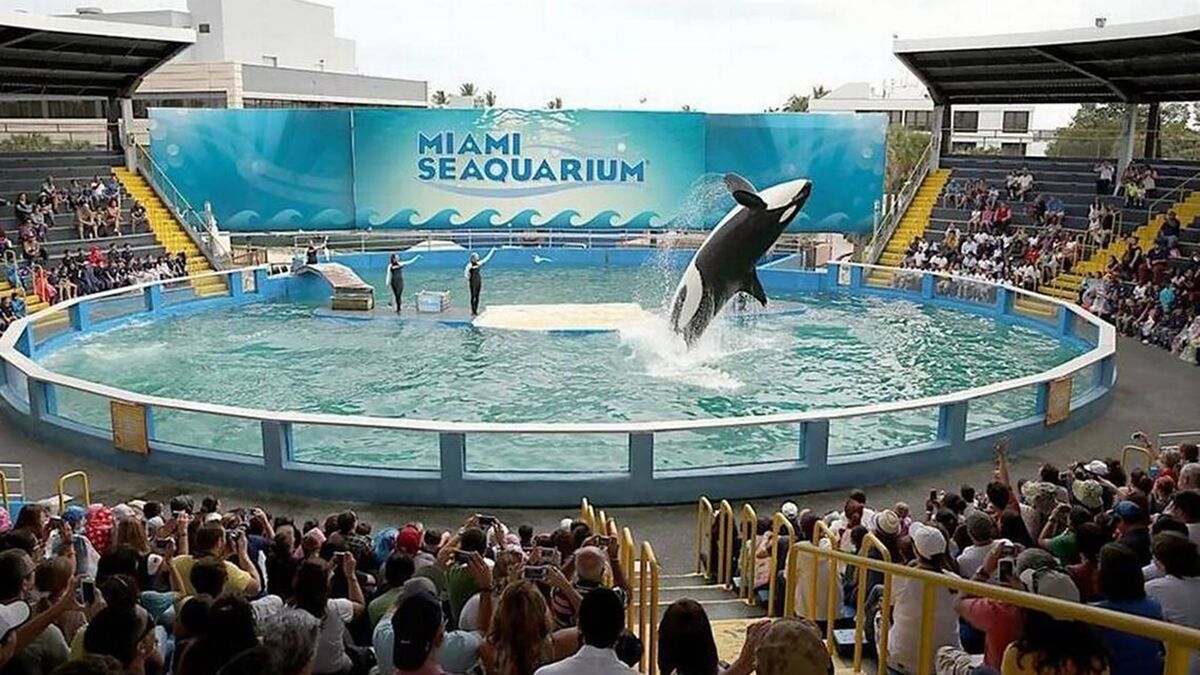 A CEO’s Arrest, Name Calling and Threats in Aquatic Park Fight