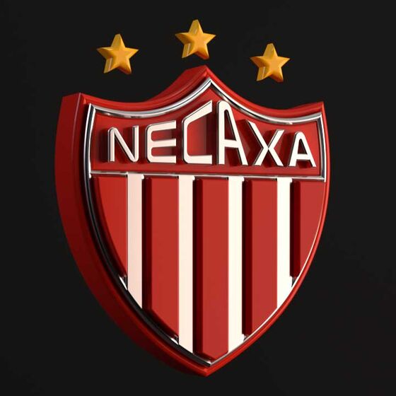 For $1.3 Million, an NFT and Stake in a Mexican Soccer Team