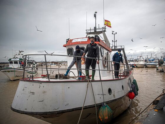 With Fishing Fleets Tied Up, Marine Life Has a Chance to Recover
