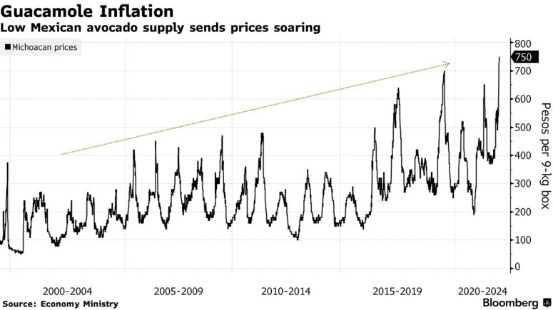 Low Mexican avocado supply sends prices soaring