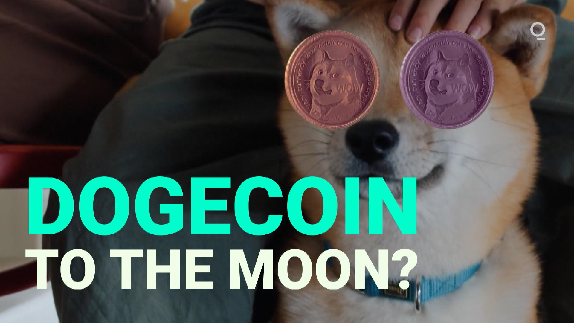 HOT ! Cryptocurrency Shiba Inu Talking Dogecoin ($DOGE) Cryptocurrency Price  Rise Means Memecoin A