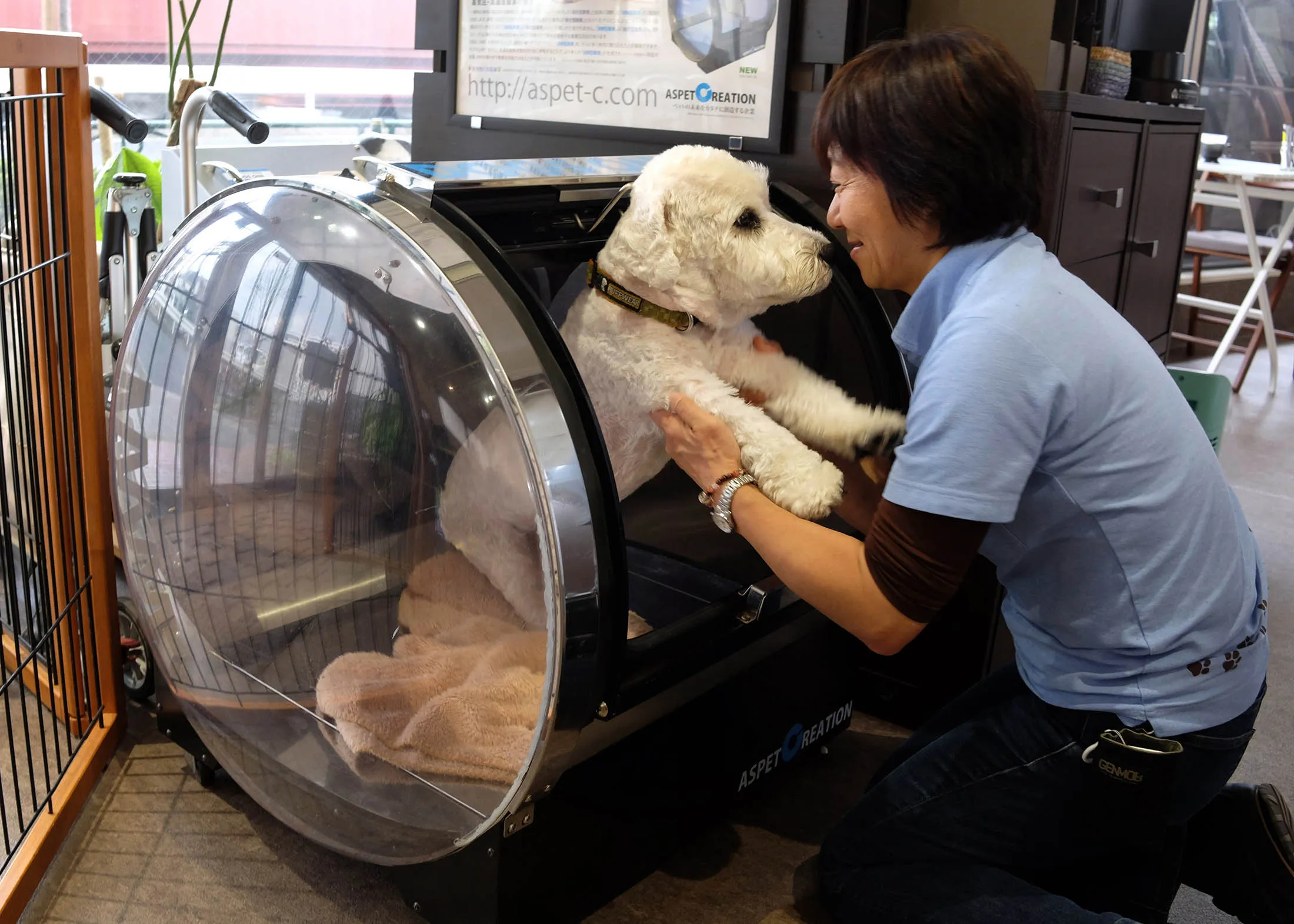 A Pet Care personnel helps a 12-year-old male dog with symptoms of epilepsy after receiving treatment in an oxygen capsule at the nursing and training facility in Tokyo.
