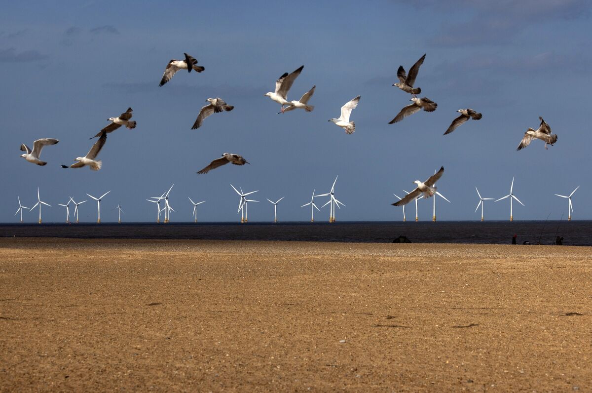 UK's National Grid Issues Warning as Wind Power Sets Record - Bloomberg