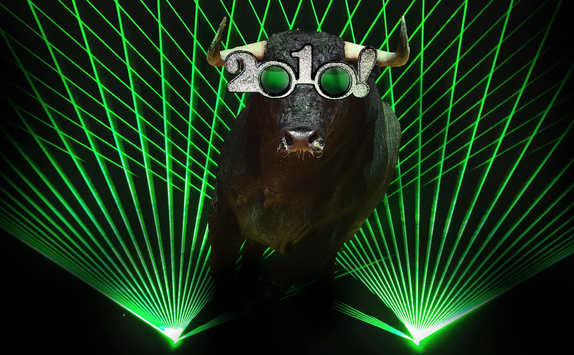 FIN_BULL_HP_01