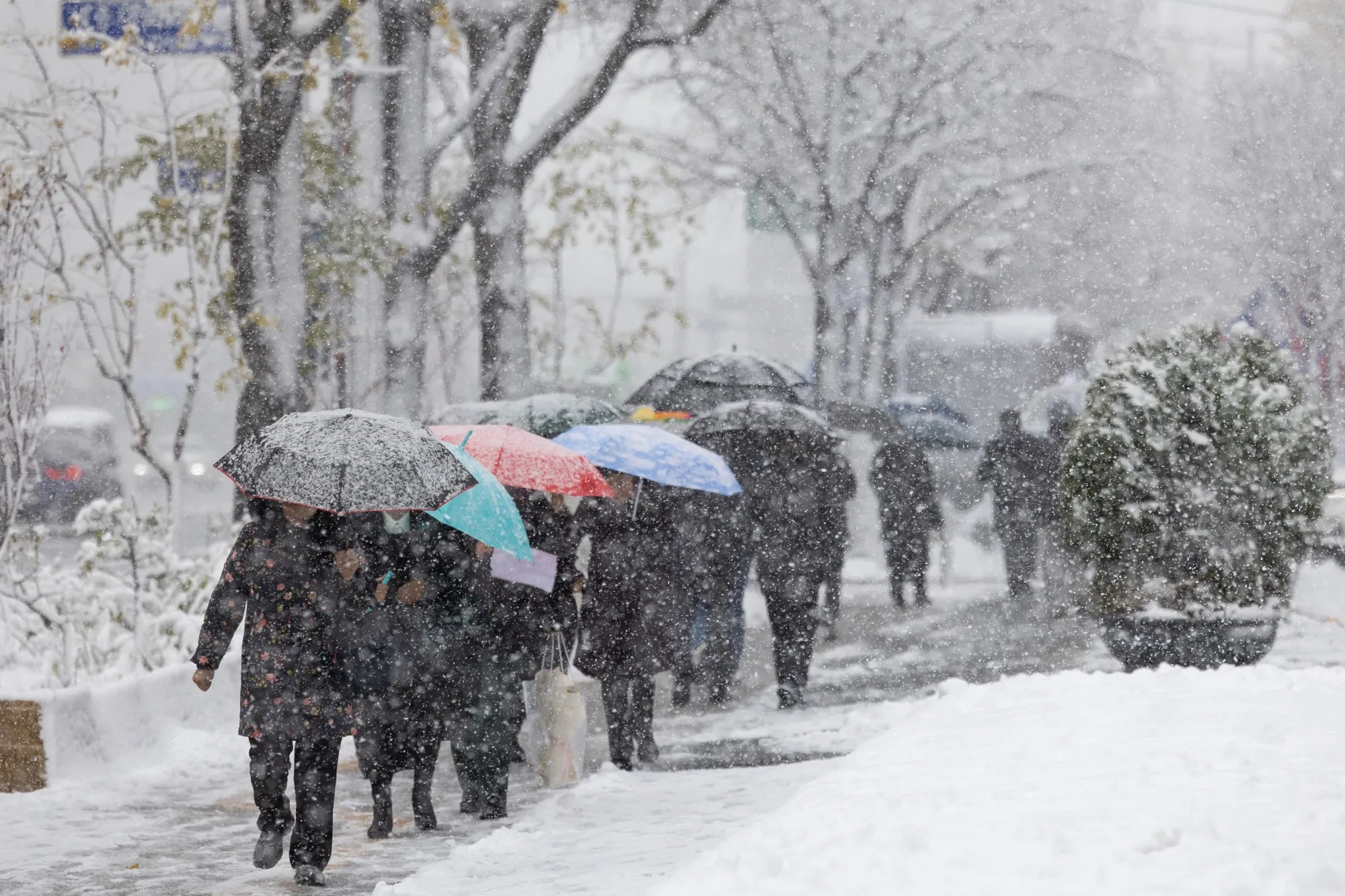 Seoul Hit by Record November Snowfall in 100 Years Causing Chaos - Bloomberg