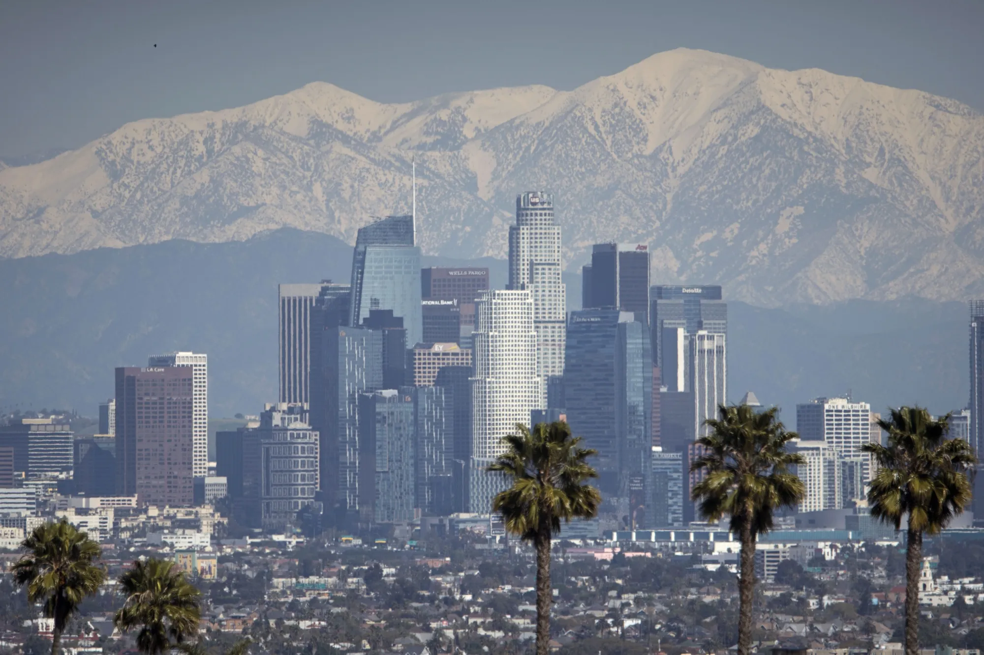 ロサンゼルスの高層ビル街（2023年3月2日）
The snow-covered San Gabriel mountain range past the downtown Los Angeles skyline after a winter storm in Los Angeles on March 2, 2023.