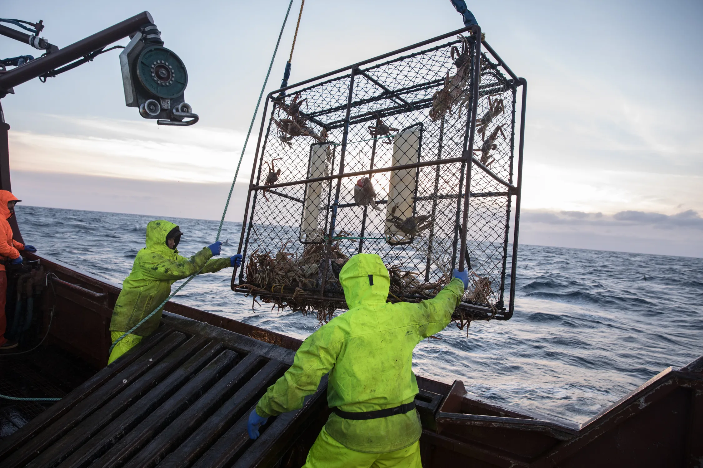 Snow crab catching on the F/V Arctic Lady vessel