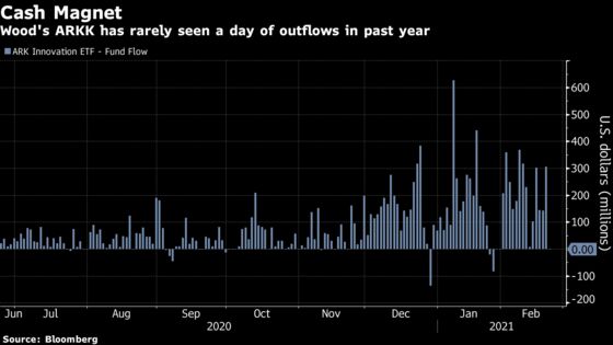 Cathie Wood Fan Club Faces Big Test as Ark Funds Extend Rout
