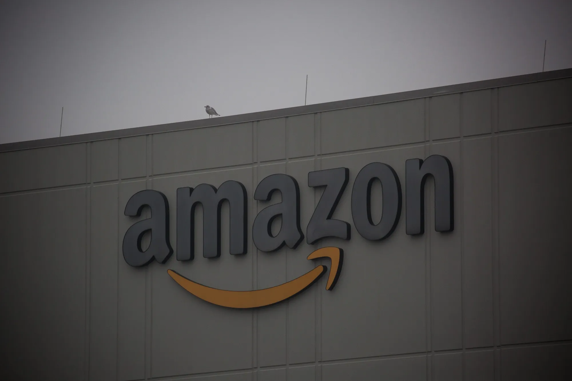 Amazon found itself saddled with too many workers after the pandemic boom faded.
