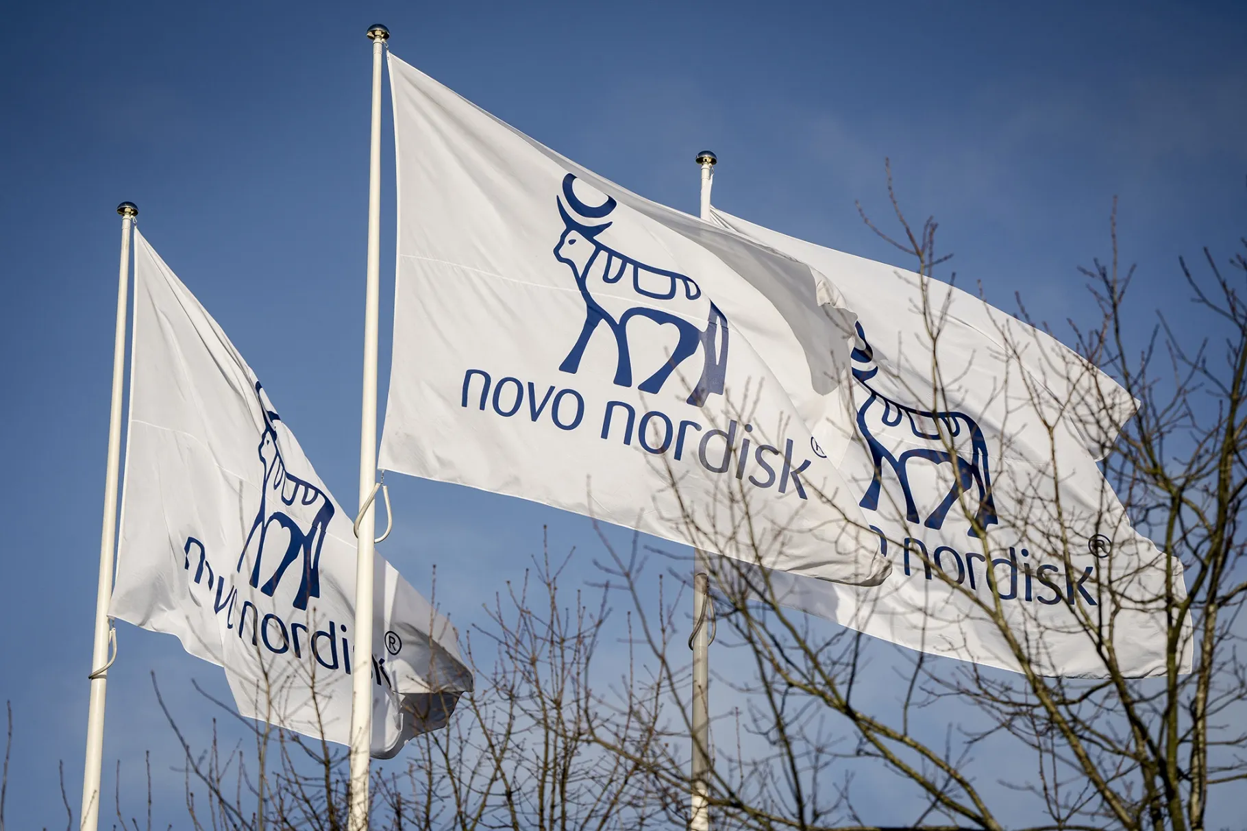 Novo Nordisk flags.