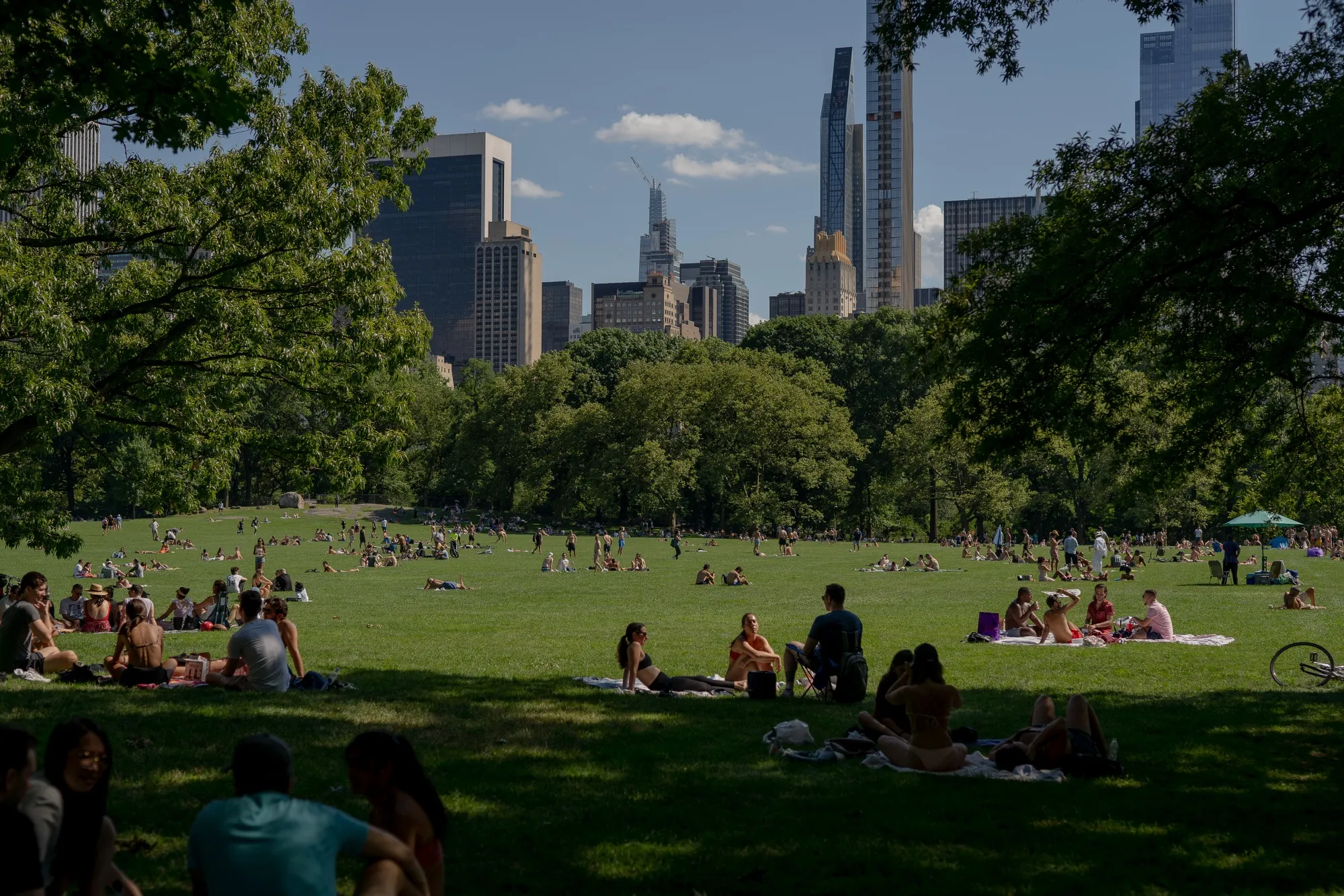 Have App, Will Deliver: NYC Picnic Boom Has One Techie Dreaming Big -  Bloomberg