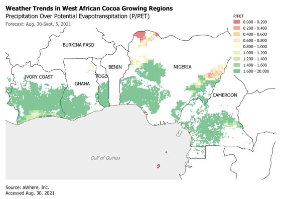 Farmers Expect Good Start to Africa’s Main Cocoa Crop Season