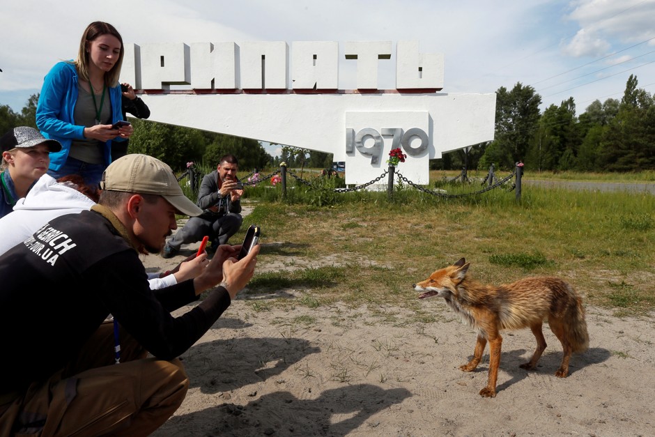 Smile, radioactive fox! More visitors have been coming to the abandoned city of Pripyat, near the Chernobyl nuclear power plant, thanks to the HBO miniseries.