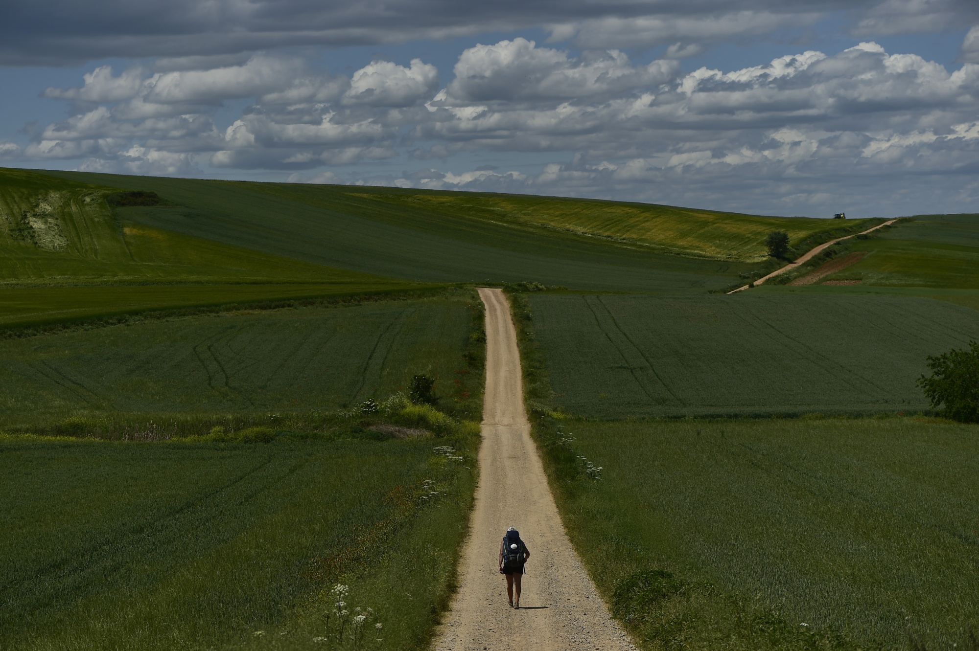 A pilgrim walks during a stage of &quot;Camino de Santiago&quot; or St. James Way near to Santo Domingo de La Calzada, northern Spain, Tuesday, May 31, 2022.  Over centuries, villages with magnificent artwork were built along the Camino de Santiago, a 500-mile pilgrimage route crossing Spain. Today, Camino travelers are saving those towns from disappearing, rescuing the economy and vitality of hamlets that were steadily losing jobs and population. “The Camino is life,” say villagers along the route. (AP Photo/Alvaro Barrientos)
