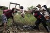 Number of Migrants Crossing Panama Jungle Falls Ahead of Trump