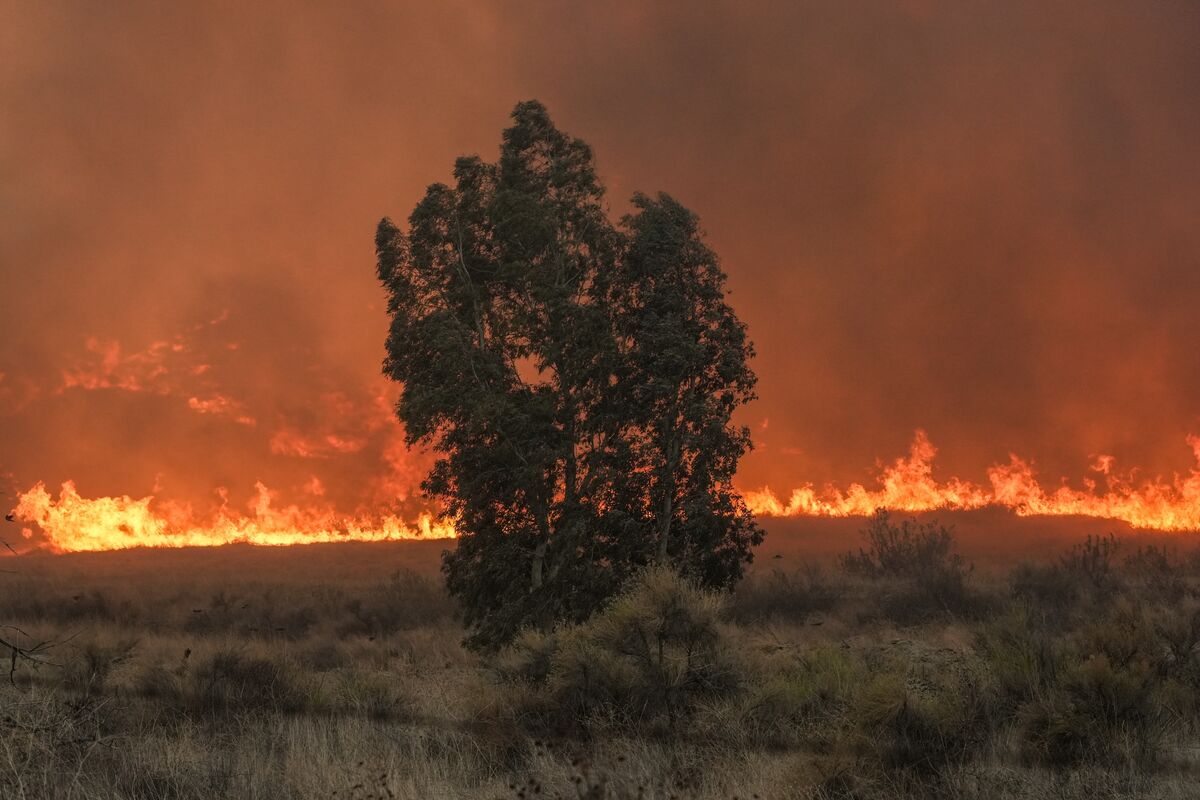 How Wildfire Containment Works and Why It’s Proved So Hard in ...