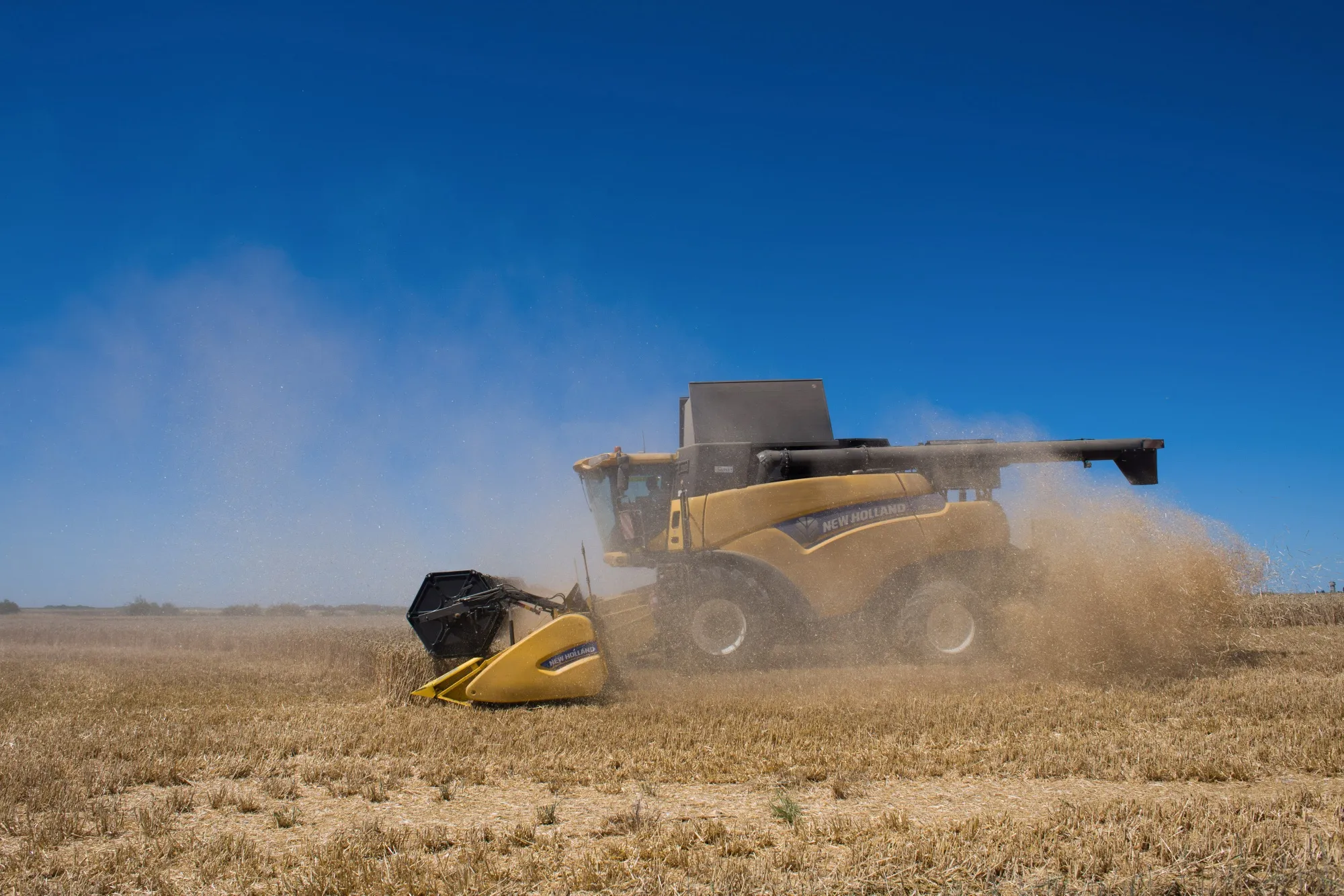 A combine harvester cuts through a field of wheat on a farm in&nbsp;France.