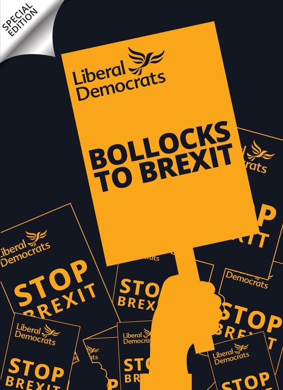 Liberal Democrats Channel the Sex Pistols in Brexit Battle