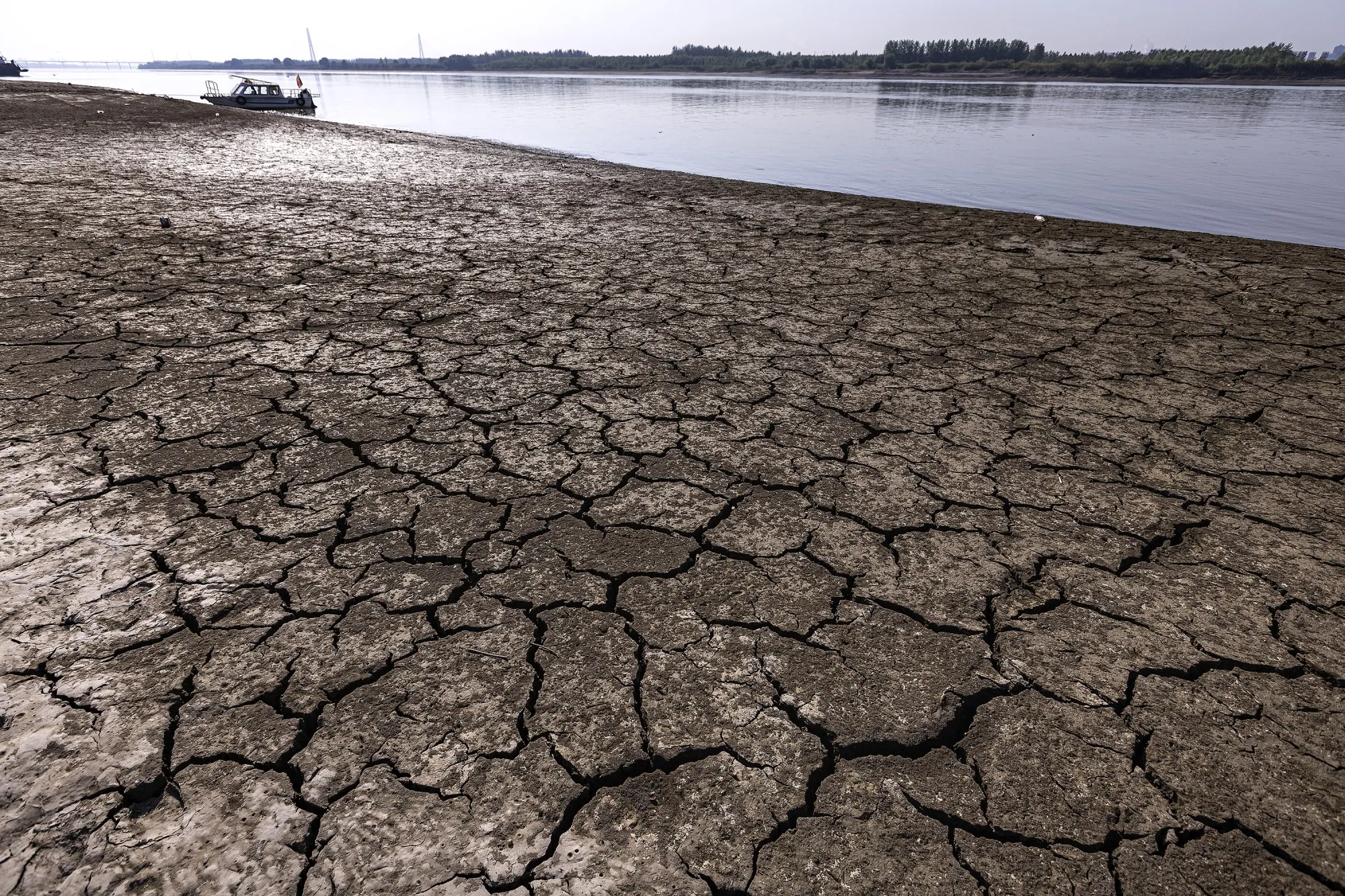 High temperatures have caused the most severe drought in the Yangtze River Basin since 1961.