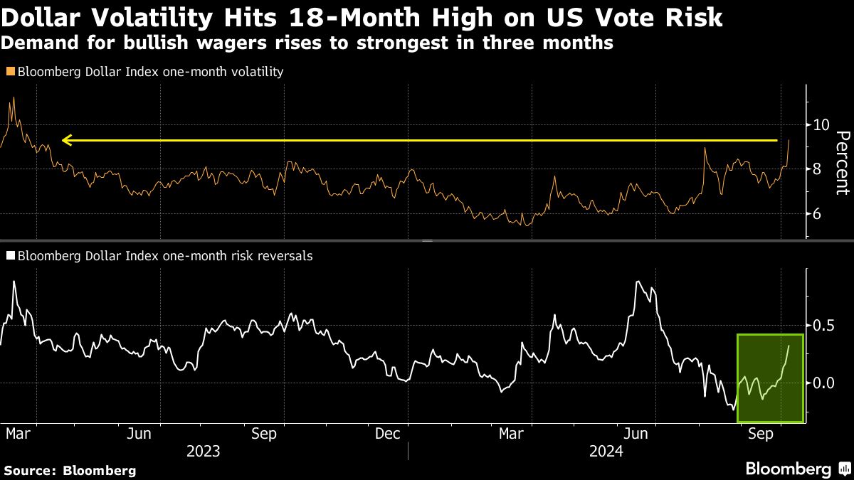 US Election Risk Drives Dollar Hedging Costs to 18-Month High