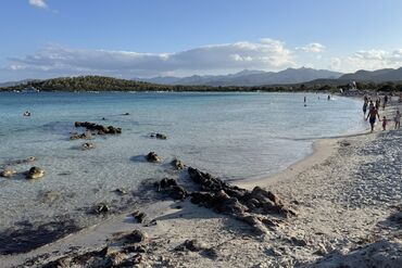 0226_PURSUITS_BLUE ZONES_WEB