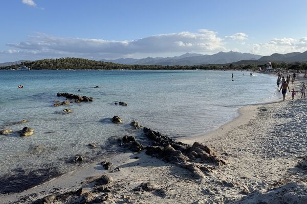 0226_PURSUITS_BLUE ZONES_WEB