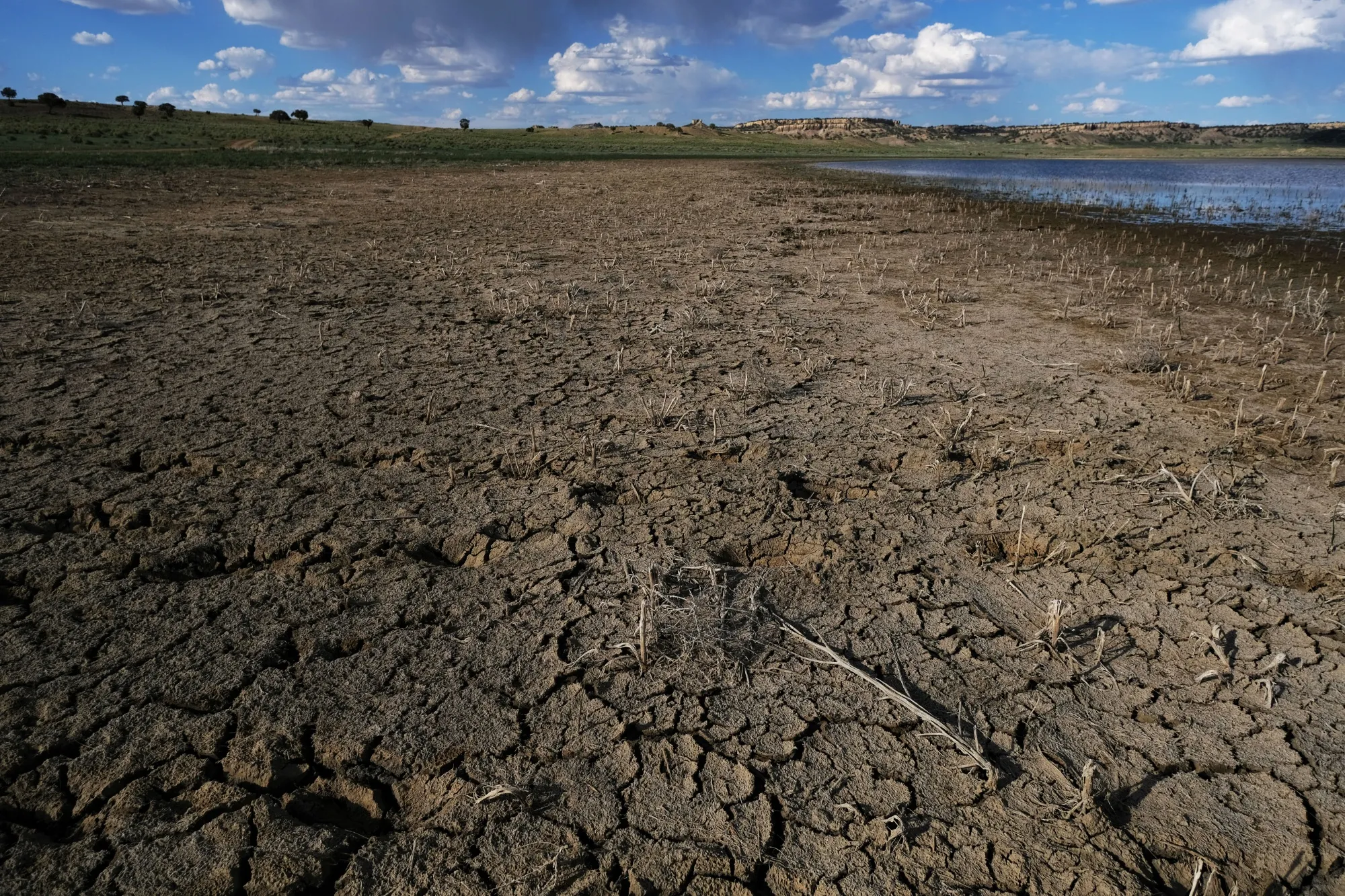 With persistence drought in New Mexico,&nbsp;65%&nbsp;of the winter wheat crop was reported in very poor to poor condition, according to the USDA.