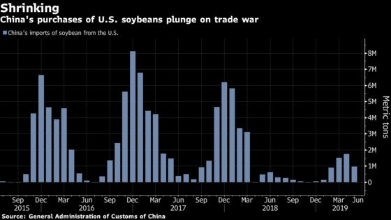 China Considers Plan to Boost Purchases of U.S. Soybeans