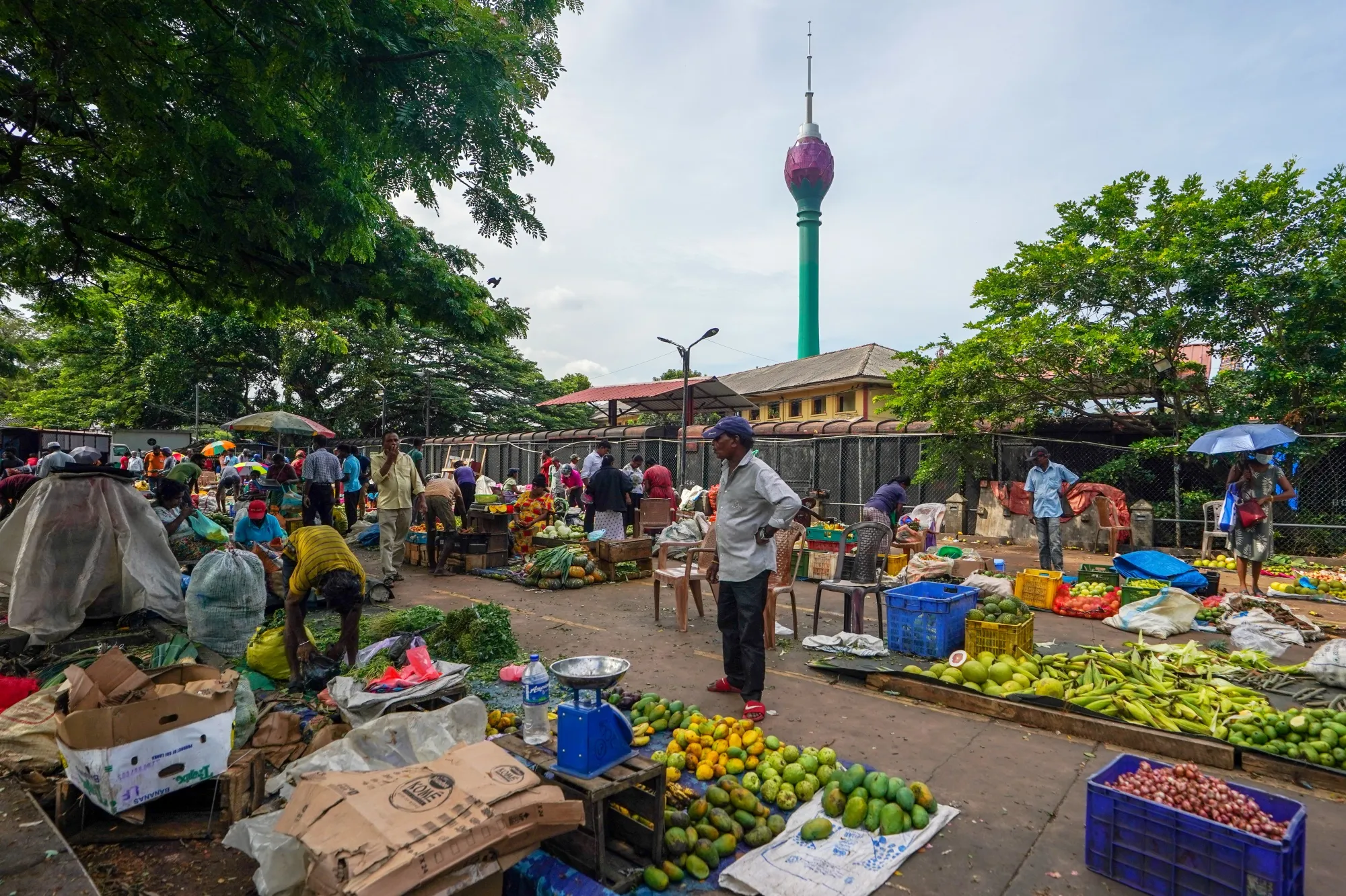 A vegetable and fruit market in Colombo, Sri Lanka.
