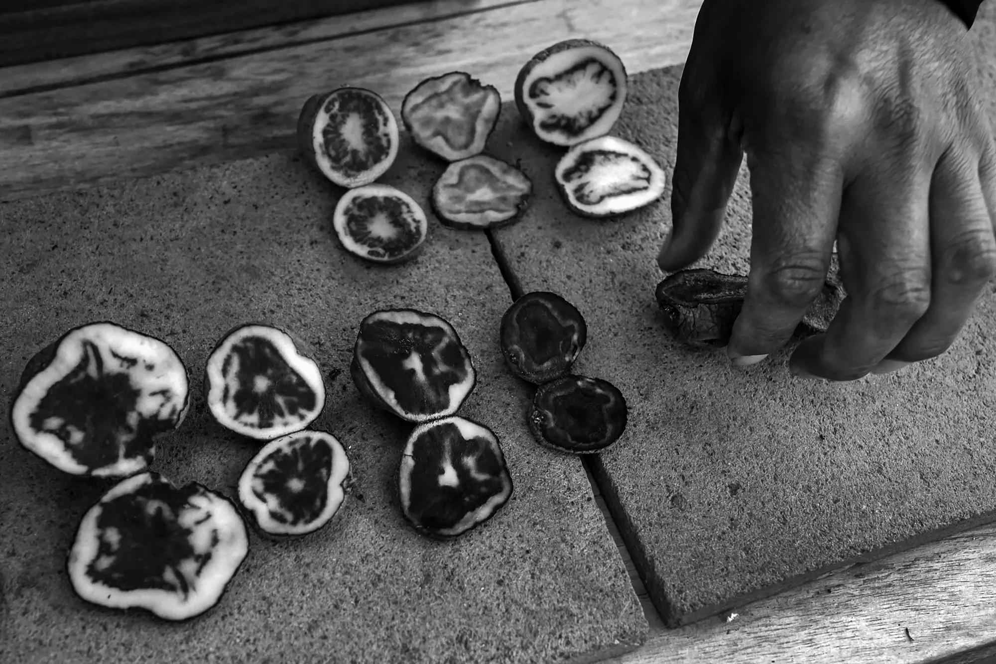 A black and white image of potatoes cut in half.