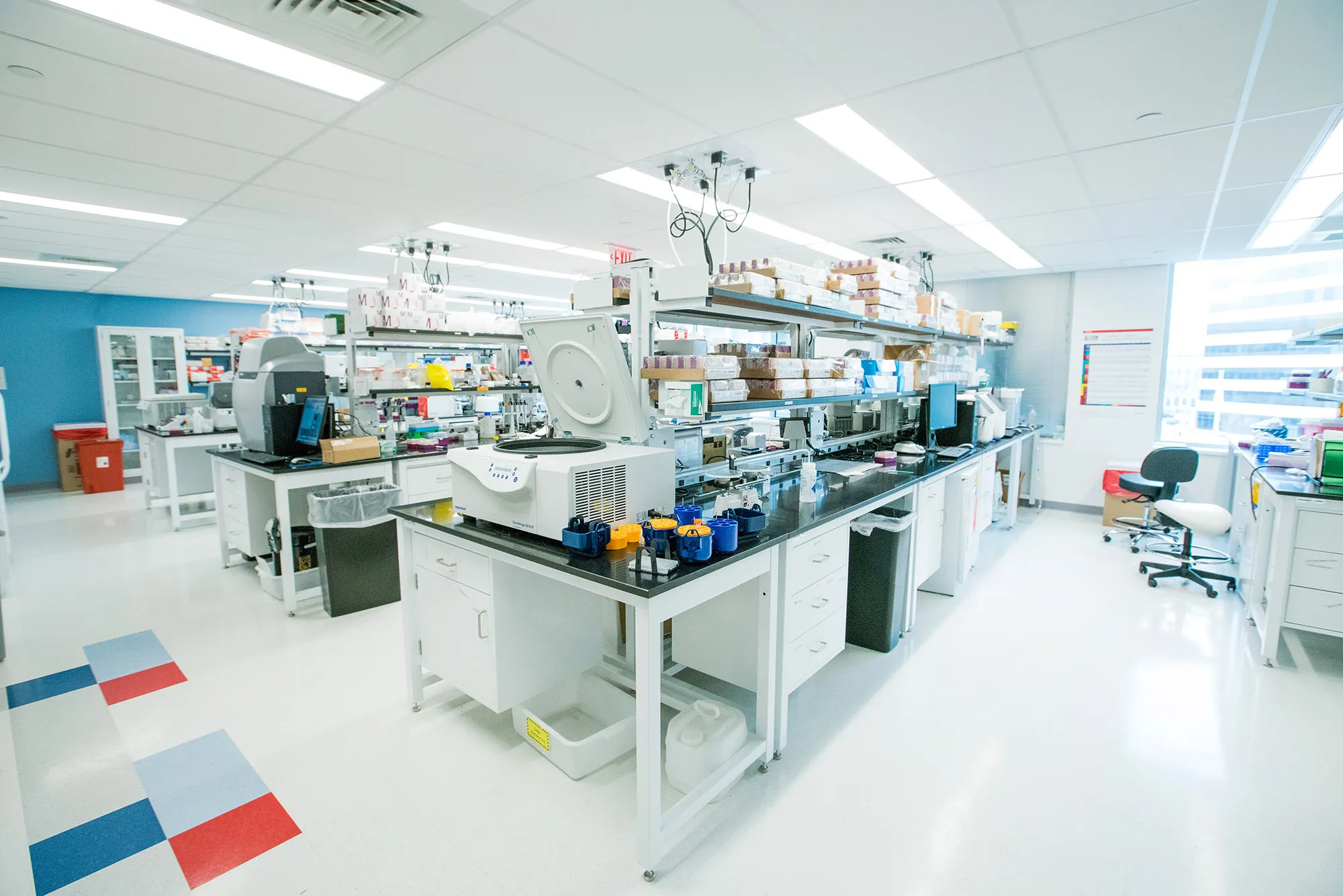 eGenesis lab