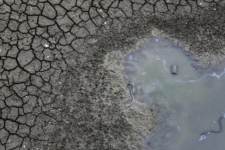 India Is Suffering One of Its Worst Droughts in Decades