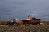 Corn Jumps As U.S. Stockpiles Trail Estimates