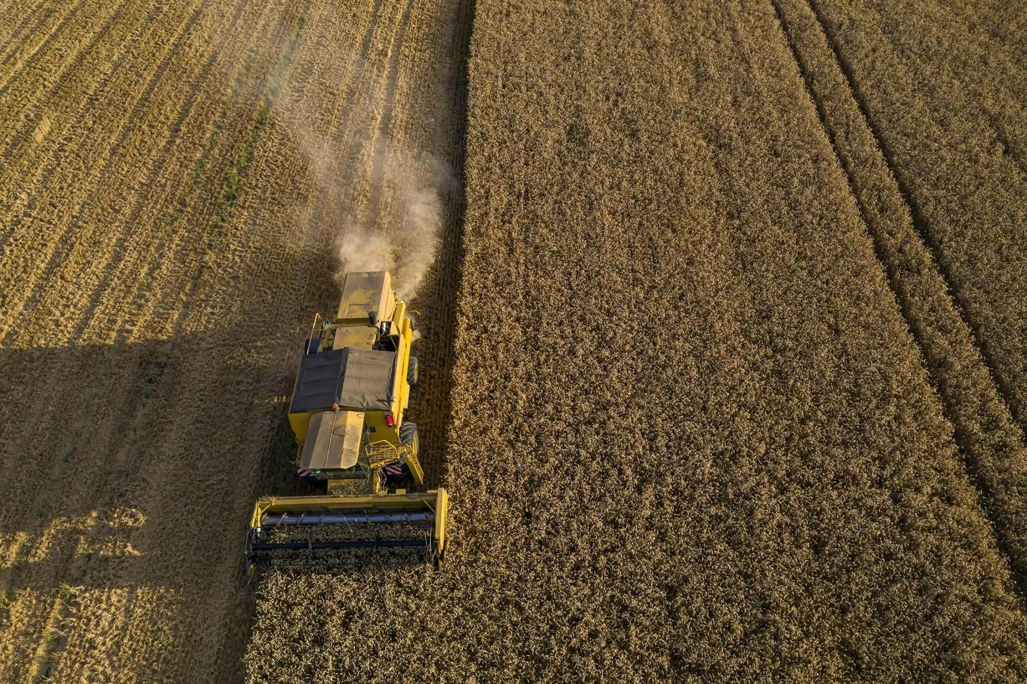 A farmer drives&nbsp;a combine harvester in a wheat field near Boulange, northeastern France&nbsp;on July 25.
