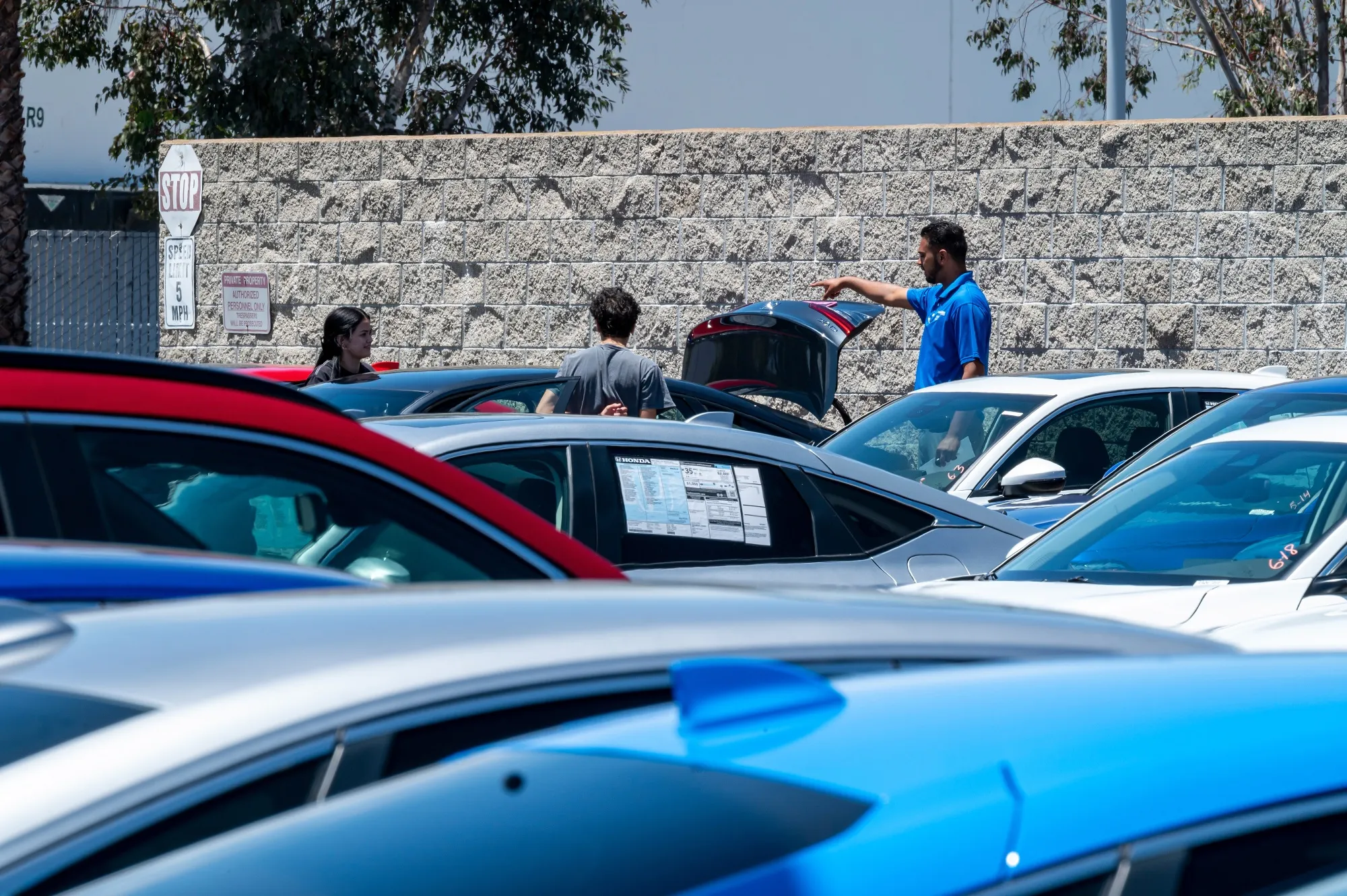 Car shopping website Edmunds projects first-quarter sales totaling 3.8 million vehicles, a 1% jump over a year ago and the strongest start to the year since 2021.